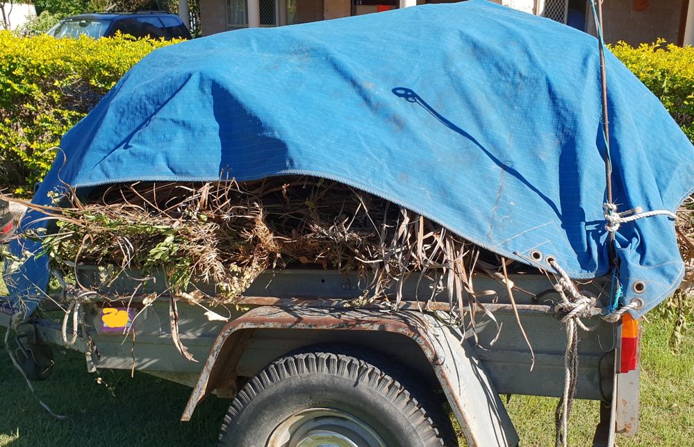 Another $15 extortion fee coming up at the dump.