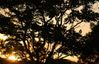 Screenshot_20190623-182125_Gallery.jpg