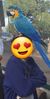 Screenshot_20190718-211522_Gallery.jpg