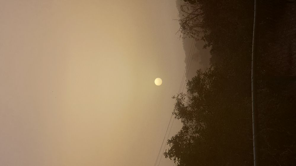 20190907_171706.jpg