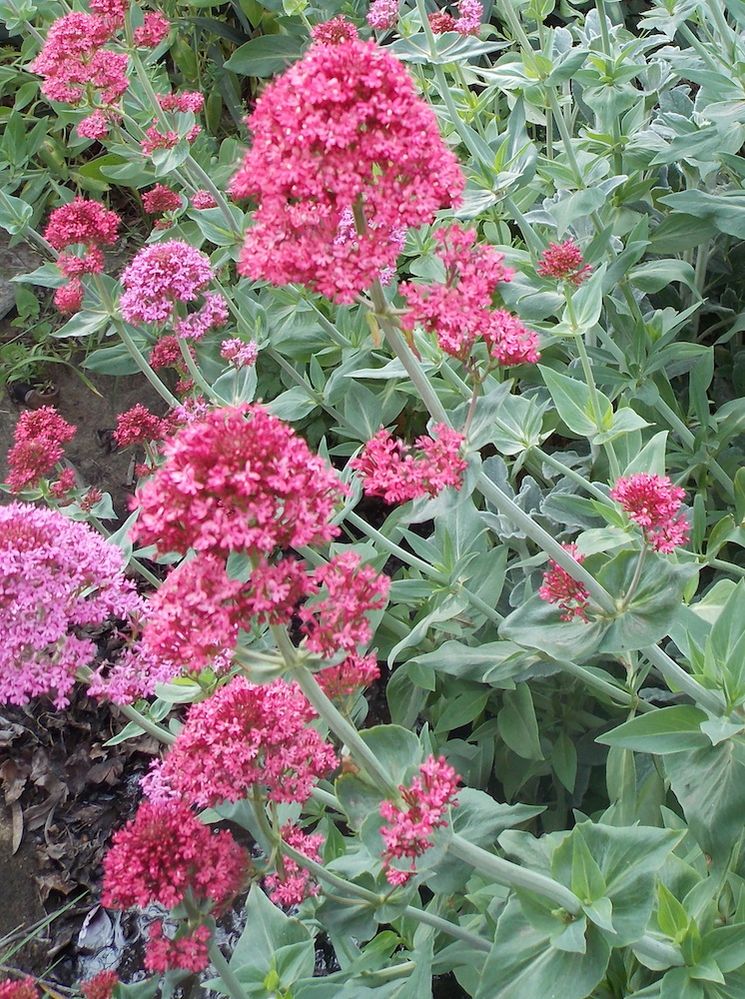 DSCN5821.JPG